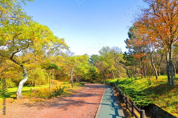 Fototapeta 제주 한라산에 있는 한라생태숲의 아름다운 가을 풍경이다.