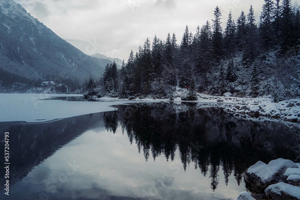 Fototapeta Moody winter photo of a frozen lake surrounded by high mountains and pine trees