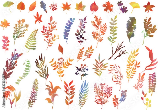 Obraz 手描き水彩画 秋の紅葉 植物 イラストアイコン セット