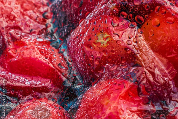 Obraz Textured background of freshly picked tomatoes under glass or film with water drops