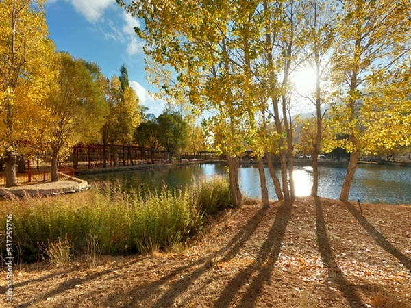 Fototapeta Peaceful lake side view with trees in autumn season