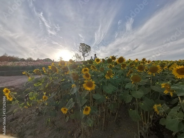 Obraz sunset in the mountains