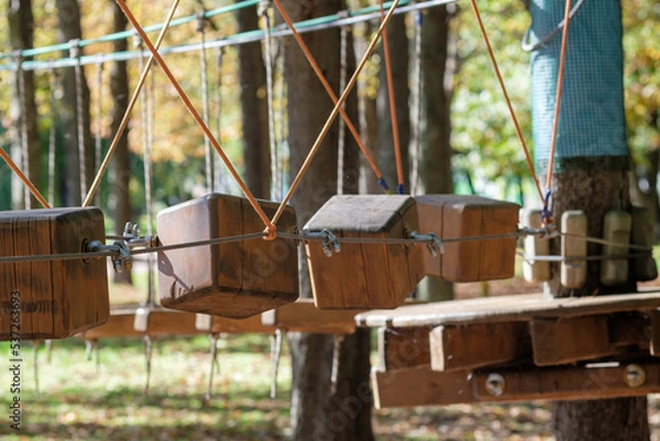 Obraz The bridges, ropes and ladders of the Adventure Park are designed for beginners among the tall trees. Adventure climbing in a high ropes course