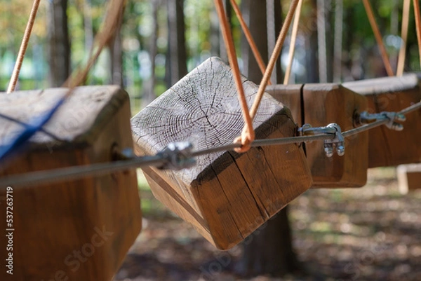 Obraz The bridges, ropes and ladders of the Adventure Park are designed for beginners among the tall trees. Adventure climbing in a high ropes course