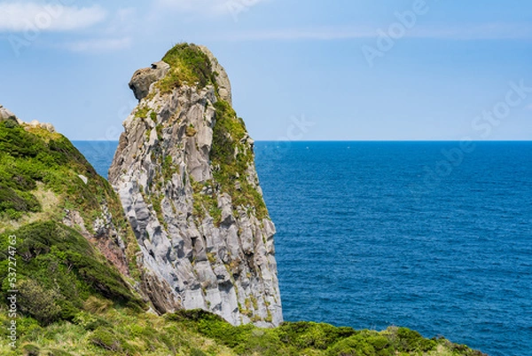 Fototapeta 猿岩　壱岐