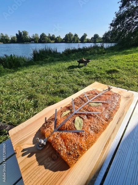 Obraz Flammlachs am See
