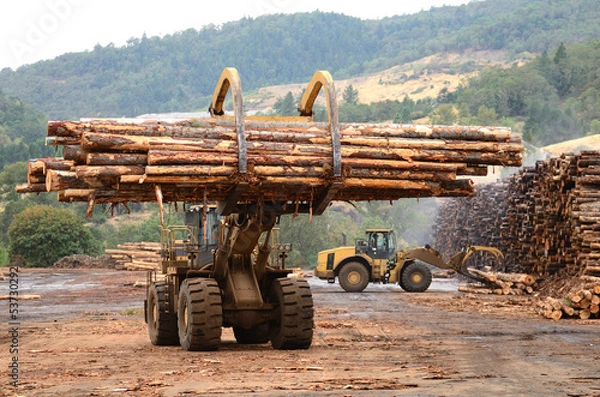Fototapeta Log Yard