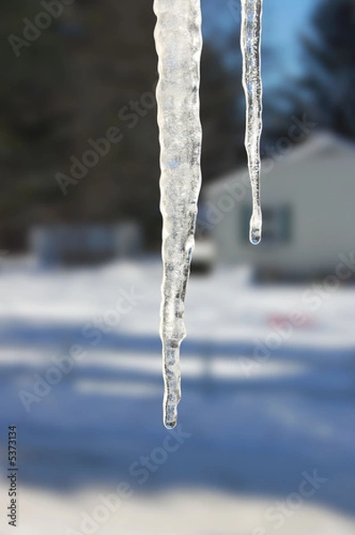 Obraz icicles