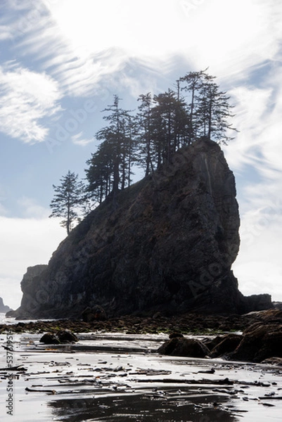 Fototapeta Famous La Push beach in Washington from Twilight saga