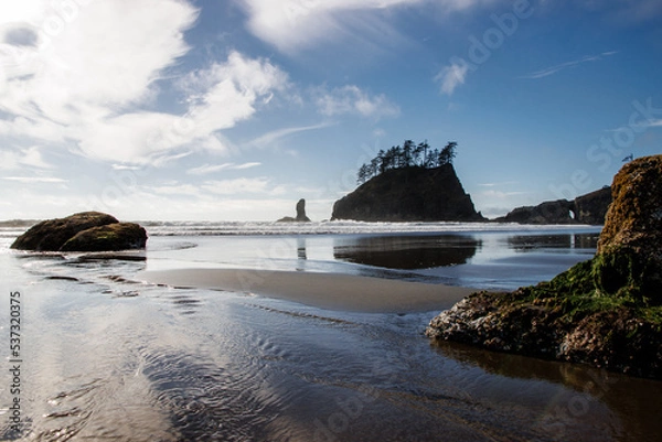 Fototapeta Famous La Push beach in Washington. La push beach from Twilight saga