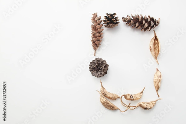 Obraz pinecone pine autumn 
white background,dead leaves