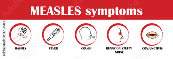 Obraz measles symptoms, vector pictograms