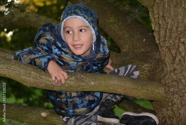 Fototapeta child in the woods
