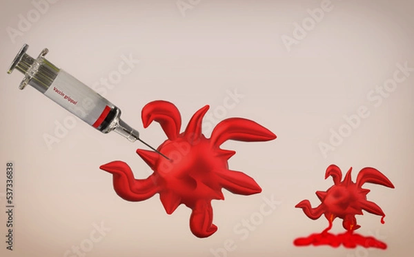 Obraz Vaccin grippal