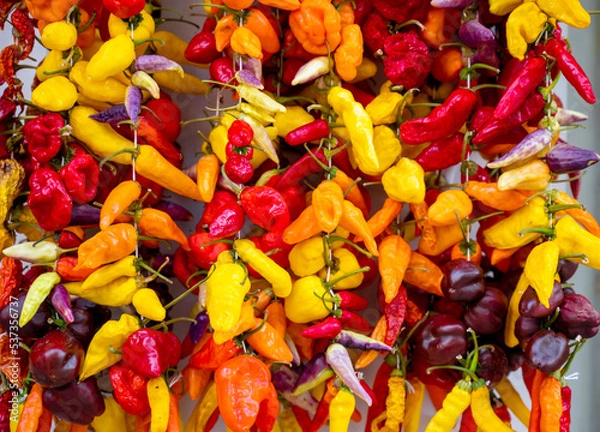 Obraz bunches of red and yellow hot peppers