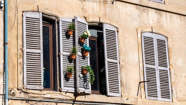 Obraz windows with old wooden blinds and flower pots