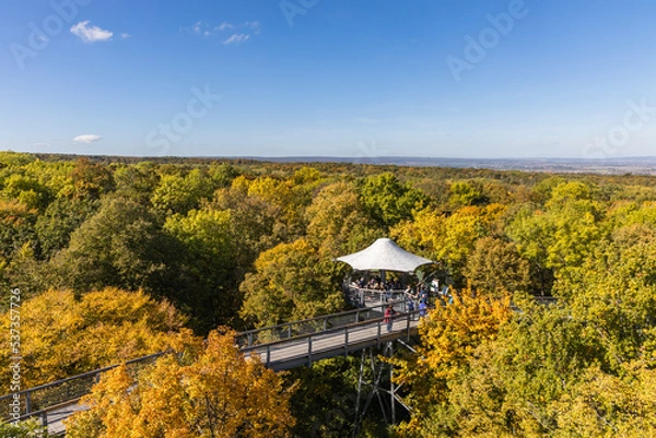 Obraz Baumkronenpfad Hainich