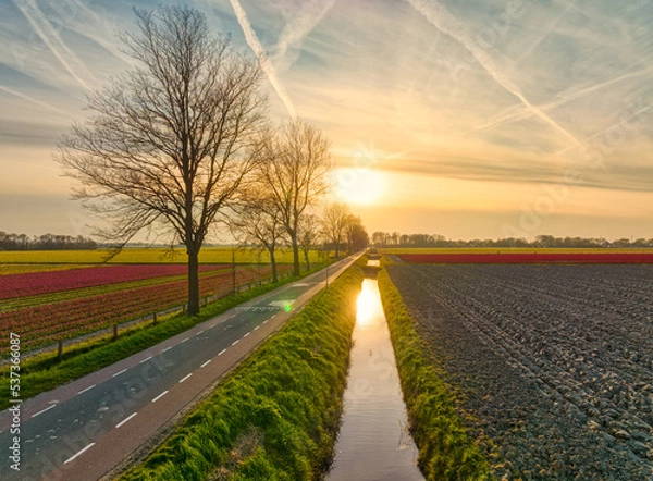Obraz Spring Sunset in Holland.