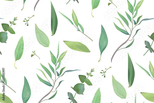 Fototapeta Vector, leafy seamless pattern. Leaf, leaves, green eucalyptus branch textile fabric, texture background. Watercolor twig, seeds, leaf. Sage, greenery decorative paper print. Isolated white background