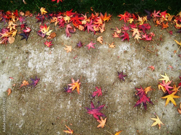 Obraz Maple Leaf Graffiti !