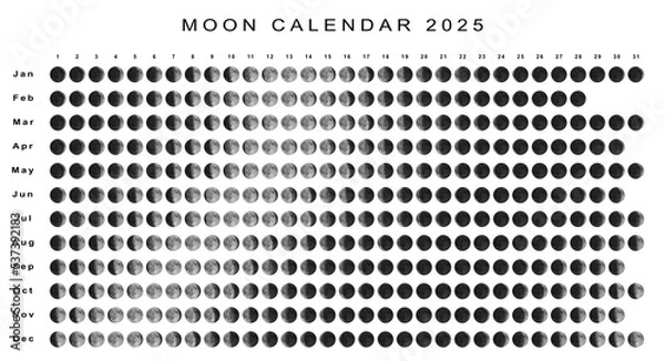 Obraz Moon Calendar 2025 Northern Hemisphere