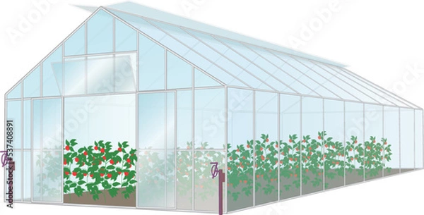 Fototapeta ビニールハウス