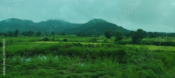 Obraz landscape with fog