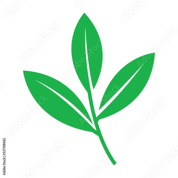 Fototapeta leaf icon vector design template in white background