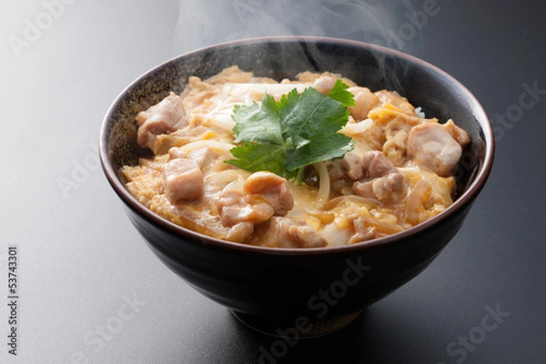 Obraz 親子丼
