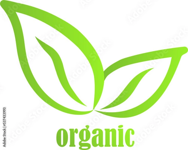 Fototapeta eco friendly logo 2