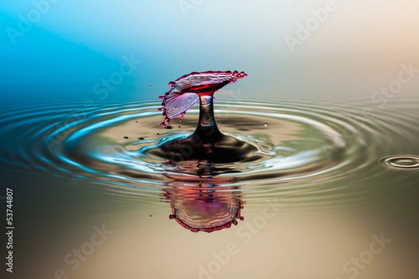 Obraz Red drop splash