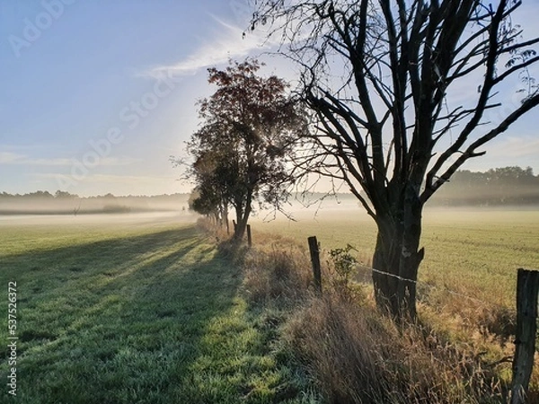 Obraz Herbstlandschaft im Nebel
