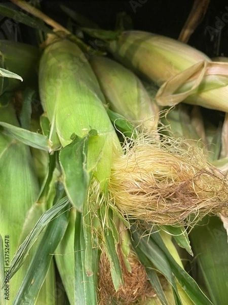 Fototapeta Corn for sale