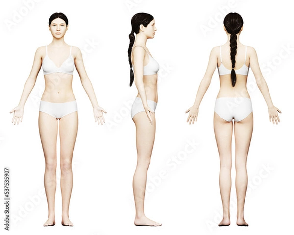 Obraz 3d rendered medical illustration of a tall female body