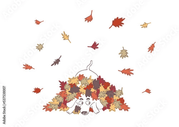 Fototapeta Digital Hand drawn funny children's 
illustration. cartoon characters Dog and autumn leaves on a white background.  Falling leaves. jpg  template print 