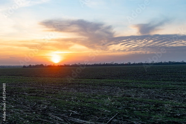 Fototapeta Dawn in Ukraine