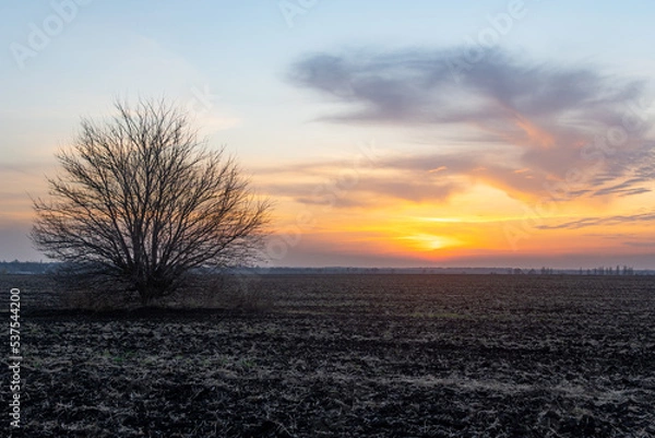 Fototapeta Sunset in Ukraine