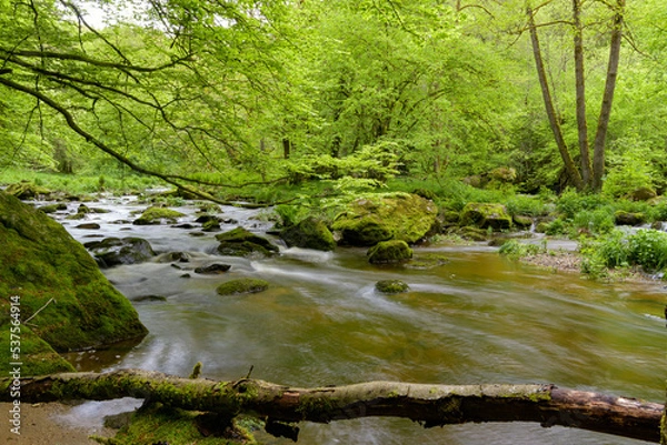 Obraz Ilz - Die schwarze Perle