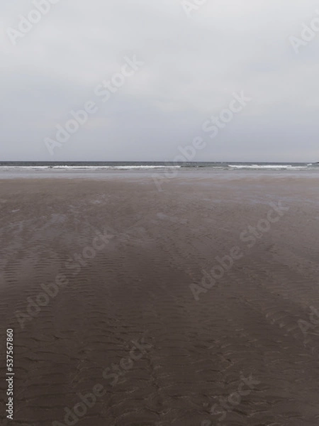 Fototapeta The shore of the Sea. Wet beach on a cool day. Minimalistic seascape. Cloudy weather.