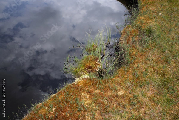 Fototapeta Unique nature reserve national park: peat moss bog and pond with reflection of cloudy blue sky in the Bihar mountains near Padis, Transylvania, Romania. 
Color landscape photo.