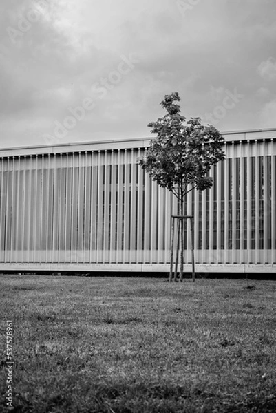 Obraz Modern city library black and white