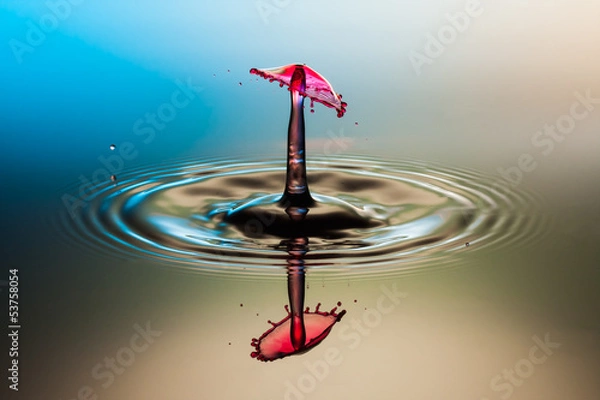 Fototapeta Red drop splash