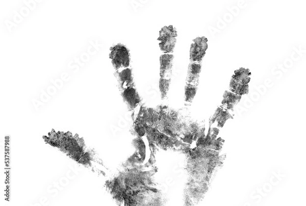 Fototapeta Palm or hand print