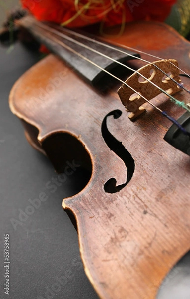 Obraz Beautiful violin