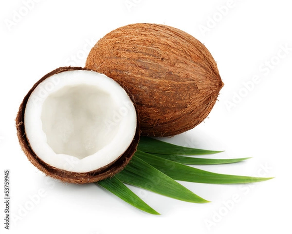 Fototapeta Coconuts with leaves