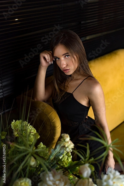 Obraz portrait of a young attractive woman in a black dress sitting on a sofa looking at the camera.