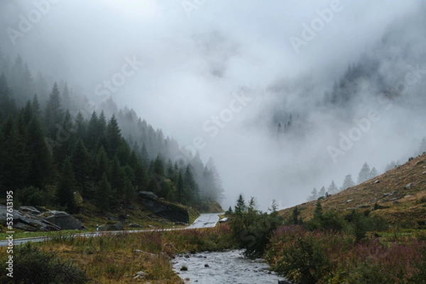 Fototapeta Mysterious photography of cloudy trees in the swiss alps