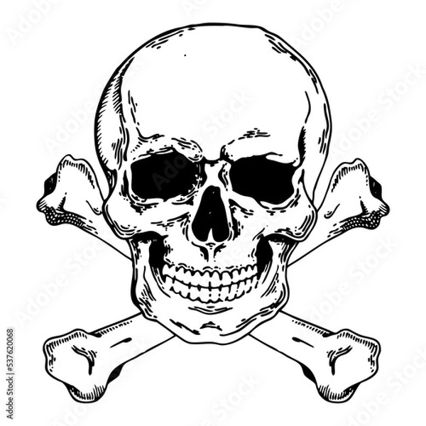 Fototapeta Jolly Roger engraving style PNG illustration with transparent background