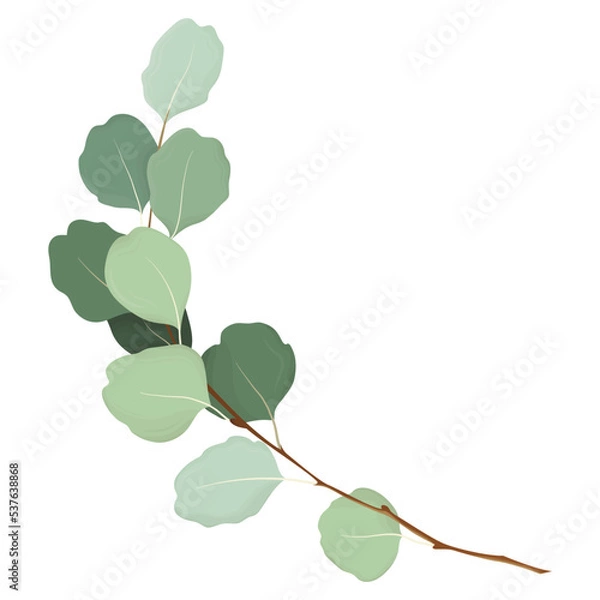 Fototapeta Tree branch. Twig. Leaves. 