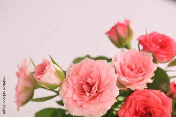 Fototapeta バラの花束